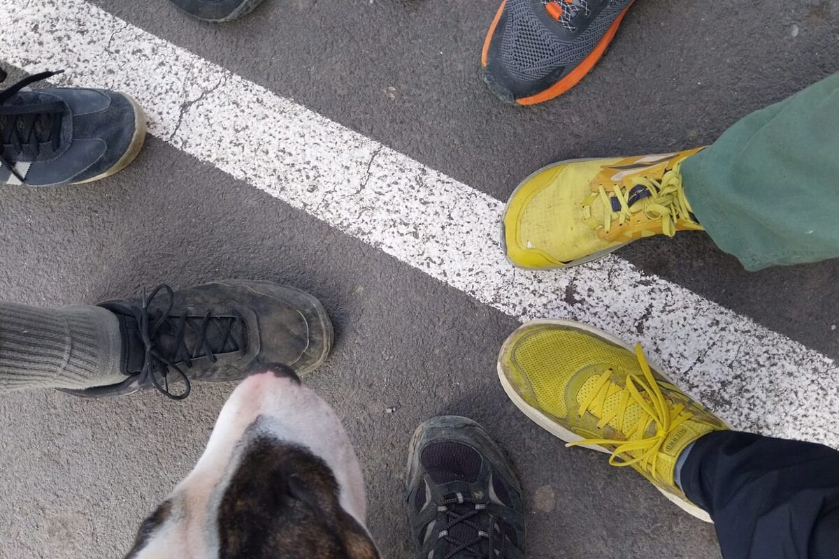 Bitcanario Community